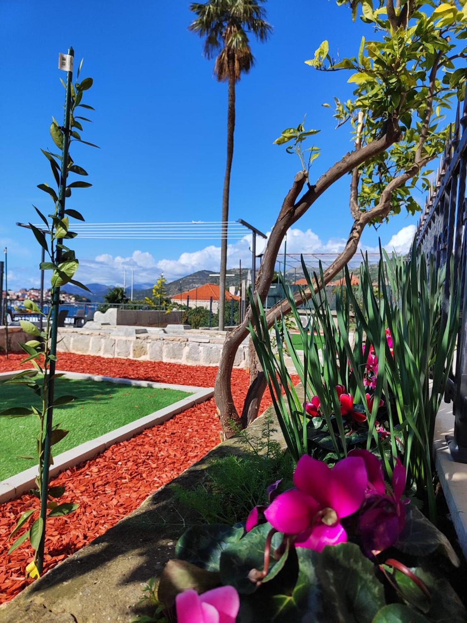 Apartments Harriet Ντουμπρόβνικ Εξωτερικό φωτογραφία